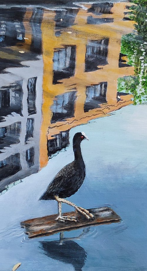 Surfin' Bird by Anthony Edwards