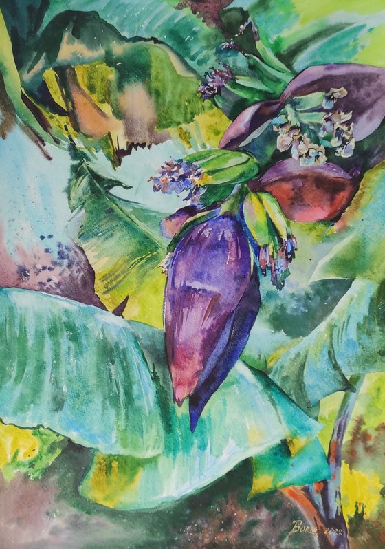 Paradise in the tropics - banana bloom, tropical palm, plants - orignal tropical green watercolor