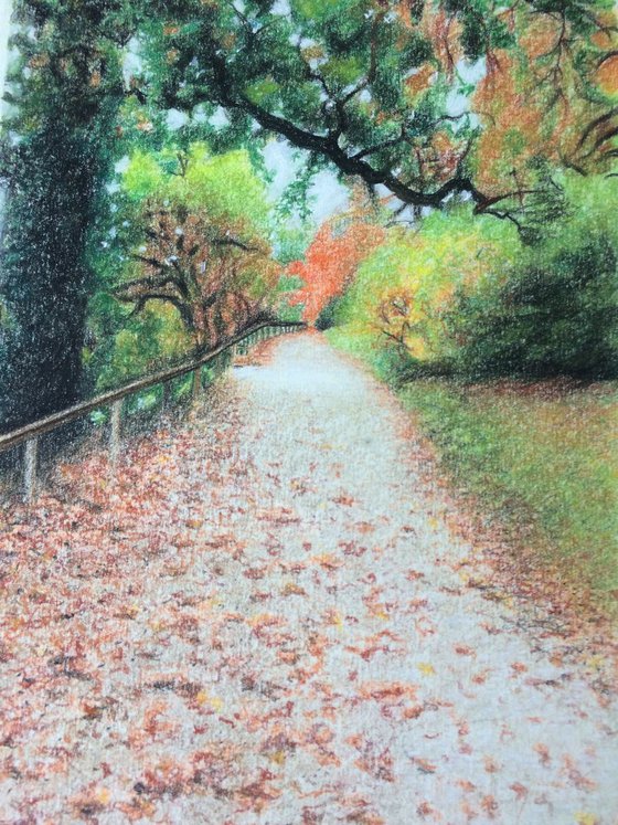 ARBORETUM I pastel drawing