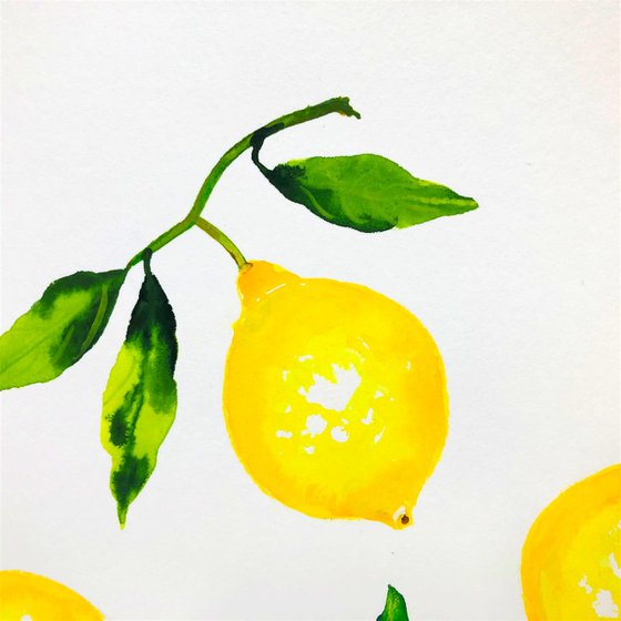 Winter time is lemon's time