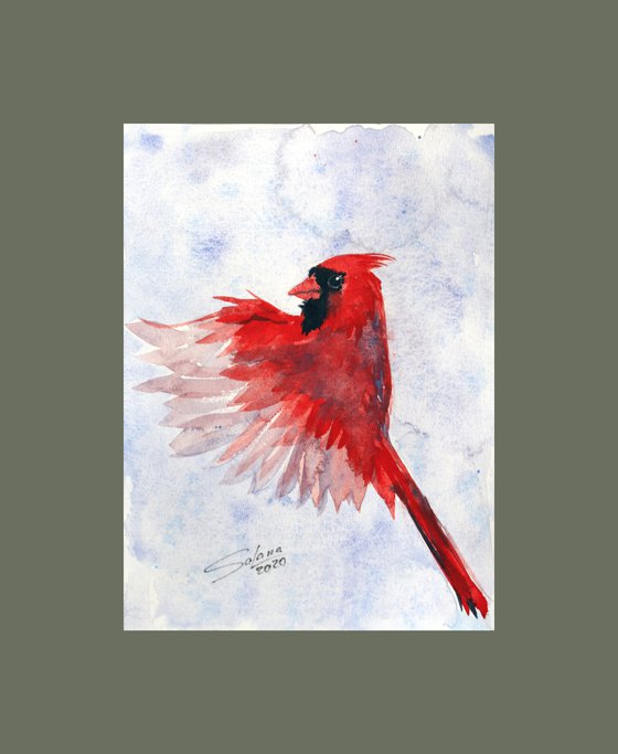 Cardinal III - Bird portrait /  ORIGINAL PAINTING