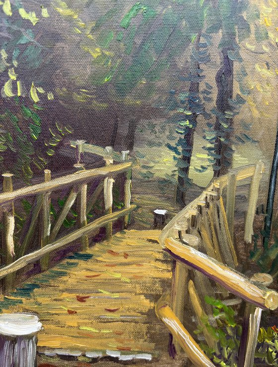 Autumn in Dutch forest