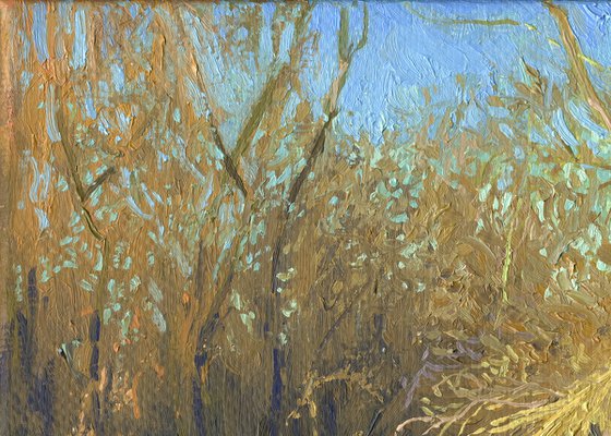 A broken tree near the Likhoborka River