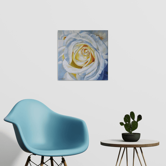 "In a white dress"  rose flower  liGHt original painting  GIFT (2021)