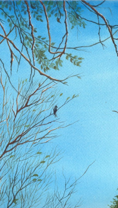Black Drongo in early morning sky by Shweta  Mahajan