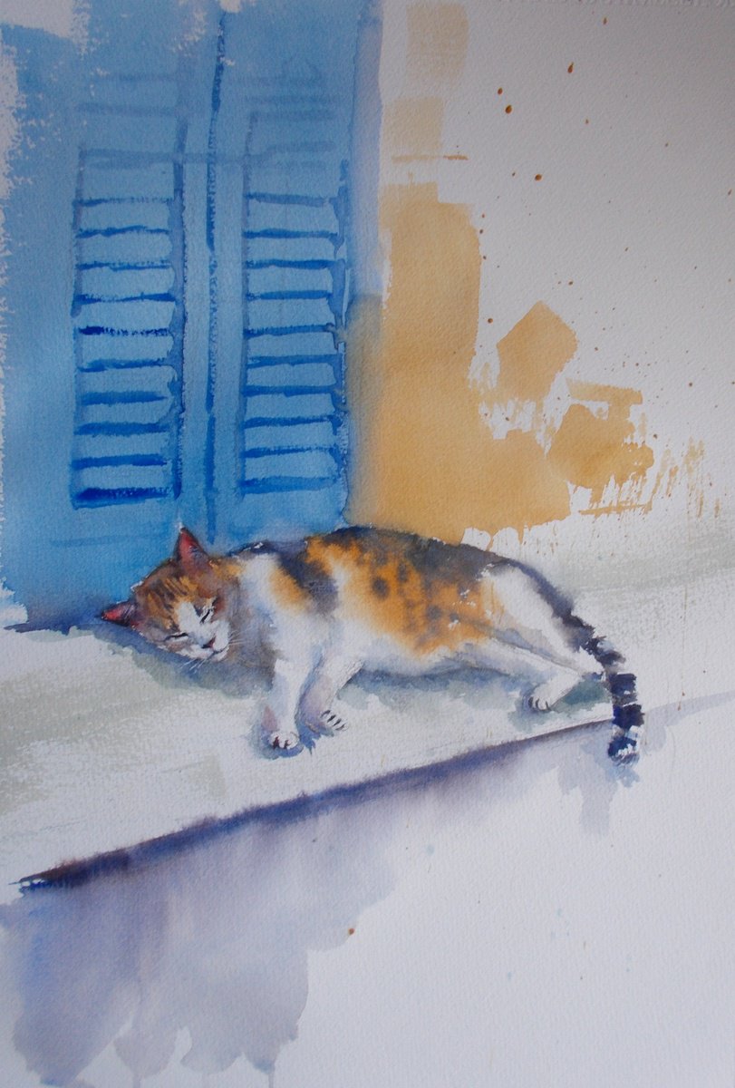 lazy cat 3 by Giorgio Gosti