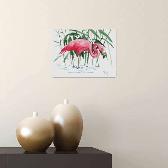 Flamingo