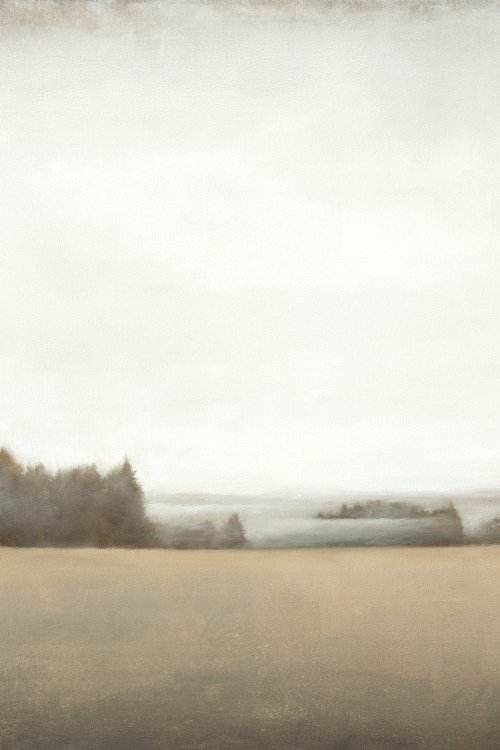Distant Fog 211012, evergreen trees tonal landscape by Don Bishop