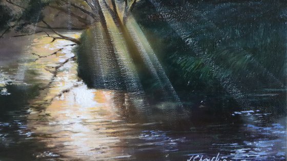 Sunlight Through River Trees