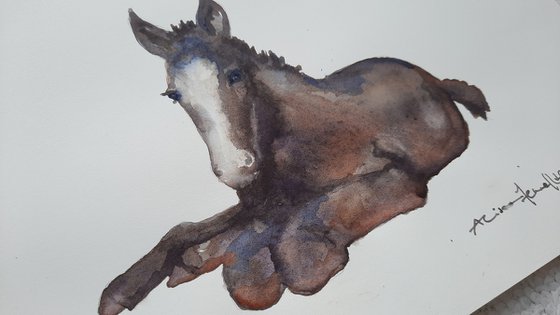 Friendly Filly - Original Watercolour Painting