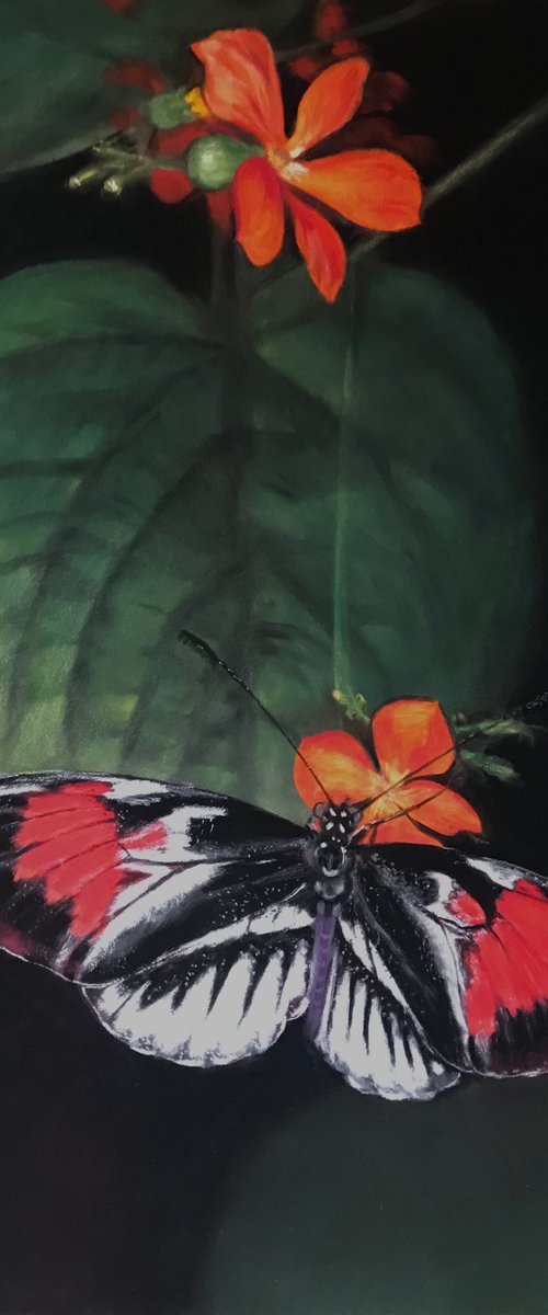 BUTTERFLY by Semire Akyazı