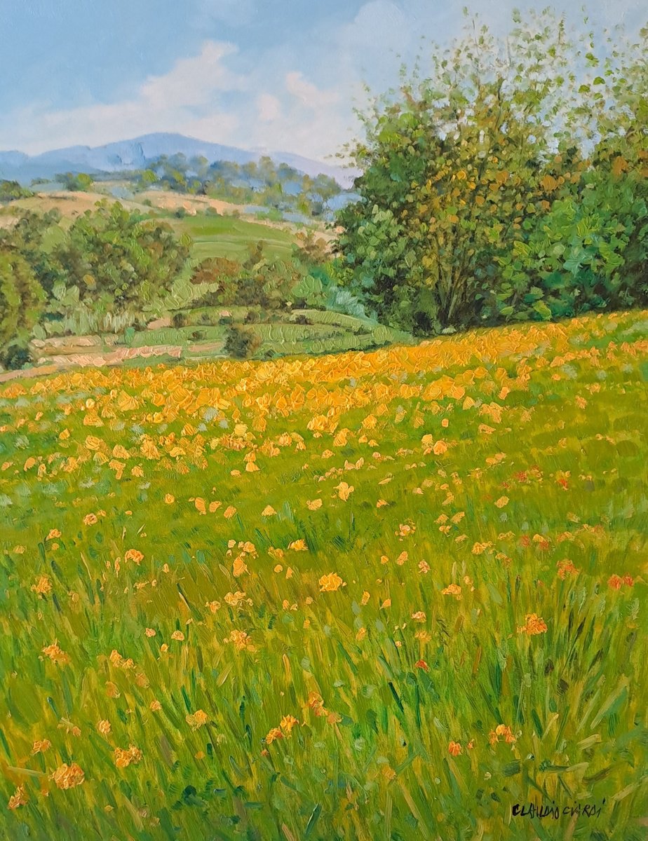 Impressionistic Botanical Oil Painting By Claudio Ciardi, 16 X 20, Landscape, Original Artwork