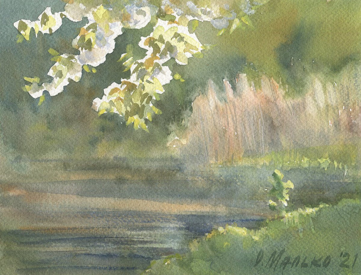 Spring again. Shining / Original watercolor. Landscape picture. Flowering branch by Olha Malko