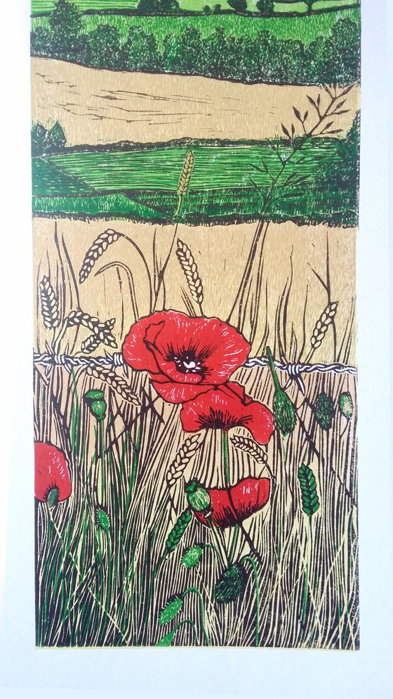 Poppies in the corn