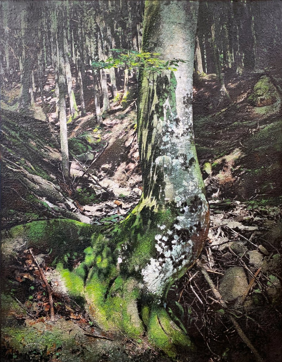 Photorealistic Landscape Painting By Karin Vermeer, 55 X 71", Riserva Statale Badia Prataglia, Original Artwork