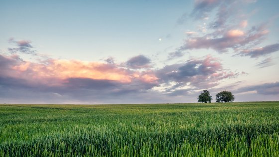 Evening Silence