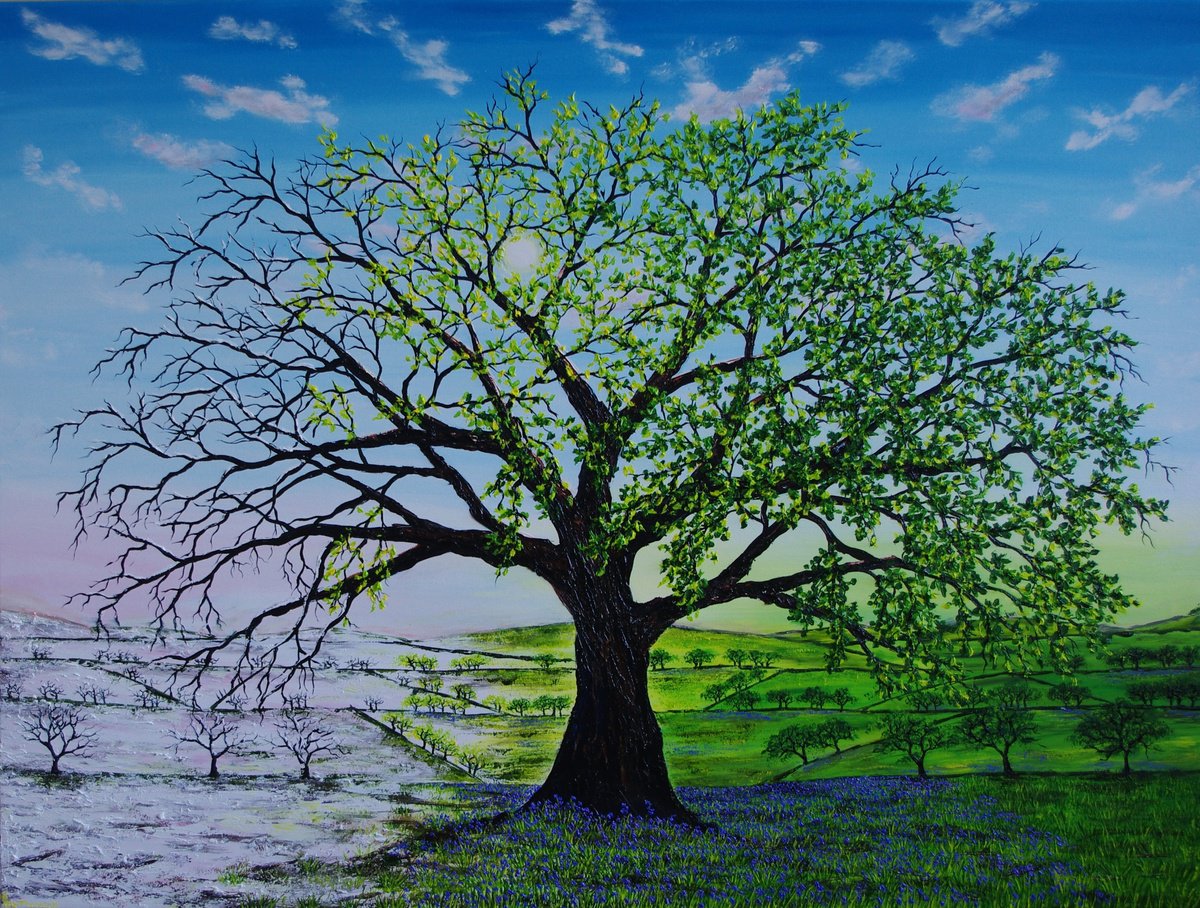 Oak of Winter to Spring by Hazel Thomson