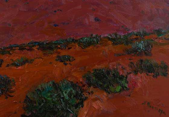 The Last Rays. Desert