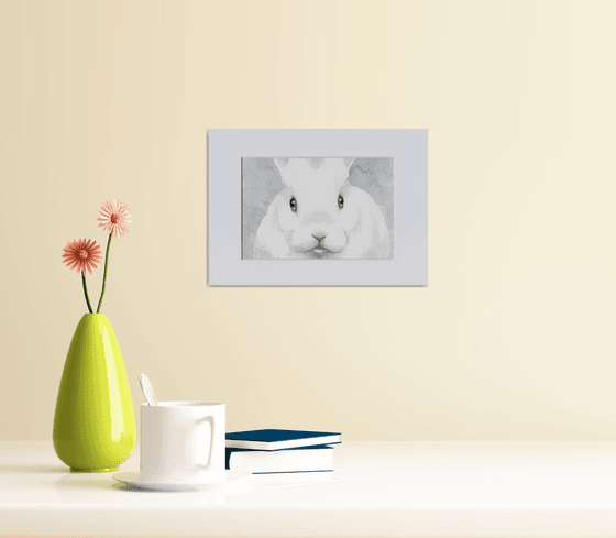 White rabbit 3