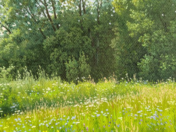 A relaxing summer day