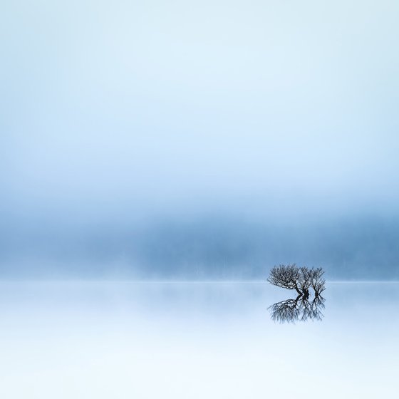 Lost in the mist.....