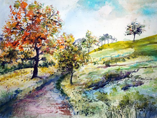 Up to Bunster Hill by Julia  Rigby