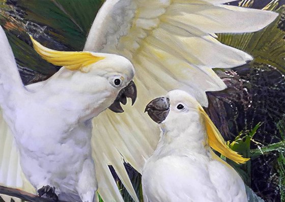 COCKATOOS