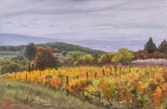 Vineyard in Late October