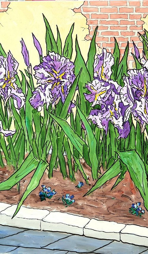 irises 6 by Colin Ross Jack