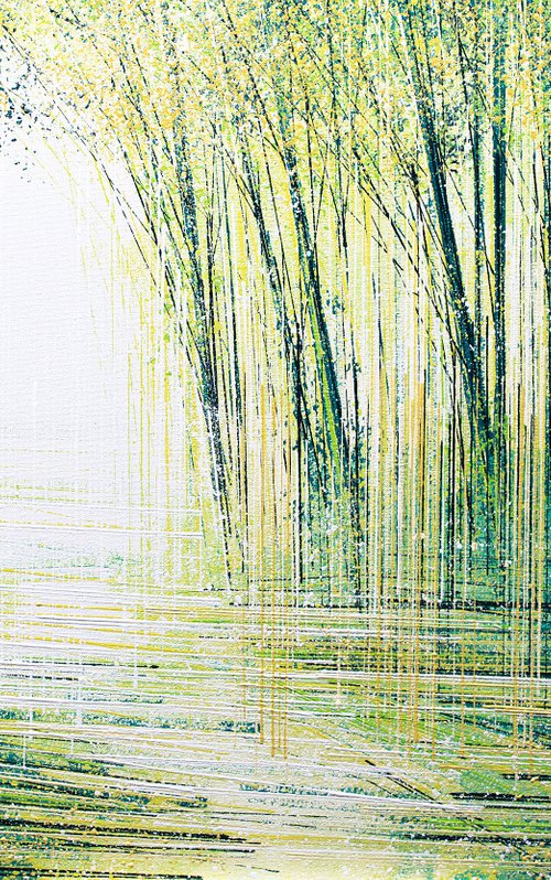 Light Through Summer Trees by Marc Todd