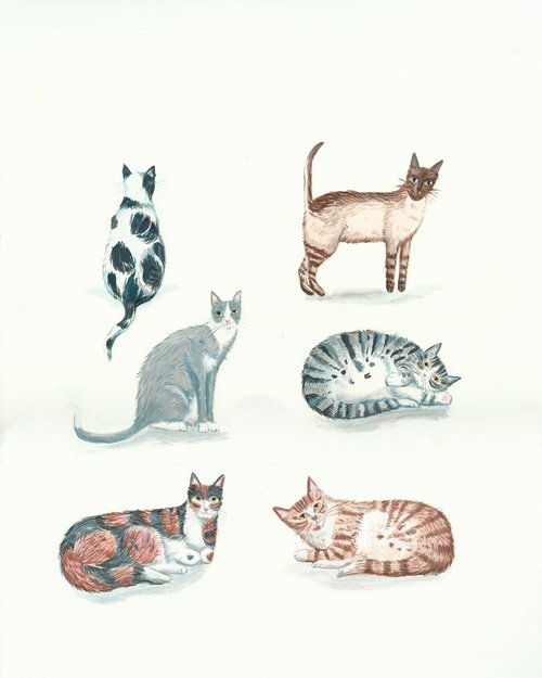Cute cats by Mary Stubberfield