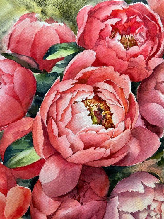 Pink peonies