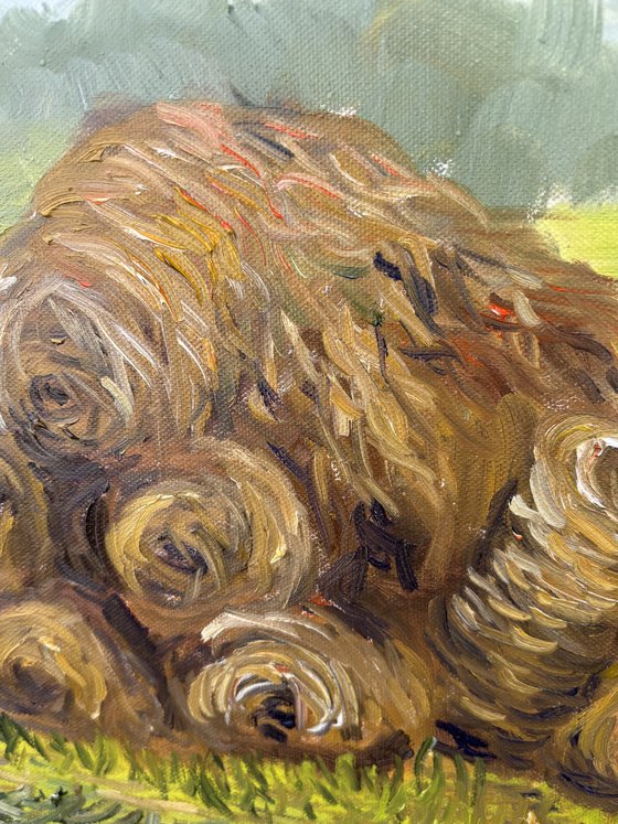 Hay bales. Plein air