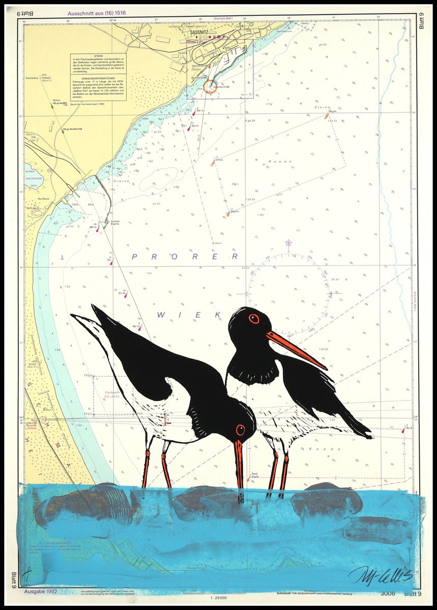 Oystercatchers by Mariann Johansen-Ellis