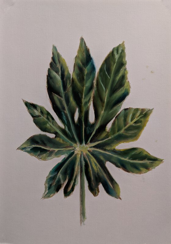 Fig Leaf: Original Oil Painting Original oil painting of the green fig leaf on the white background Painting by Anna Brazhnikova