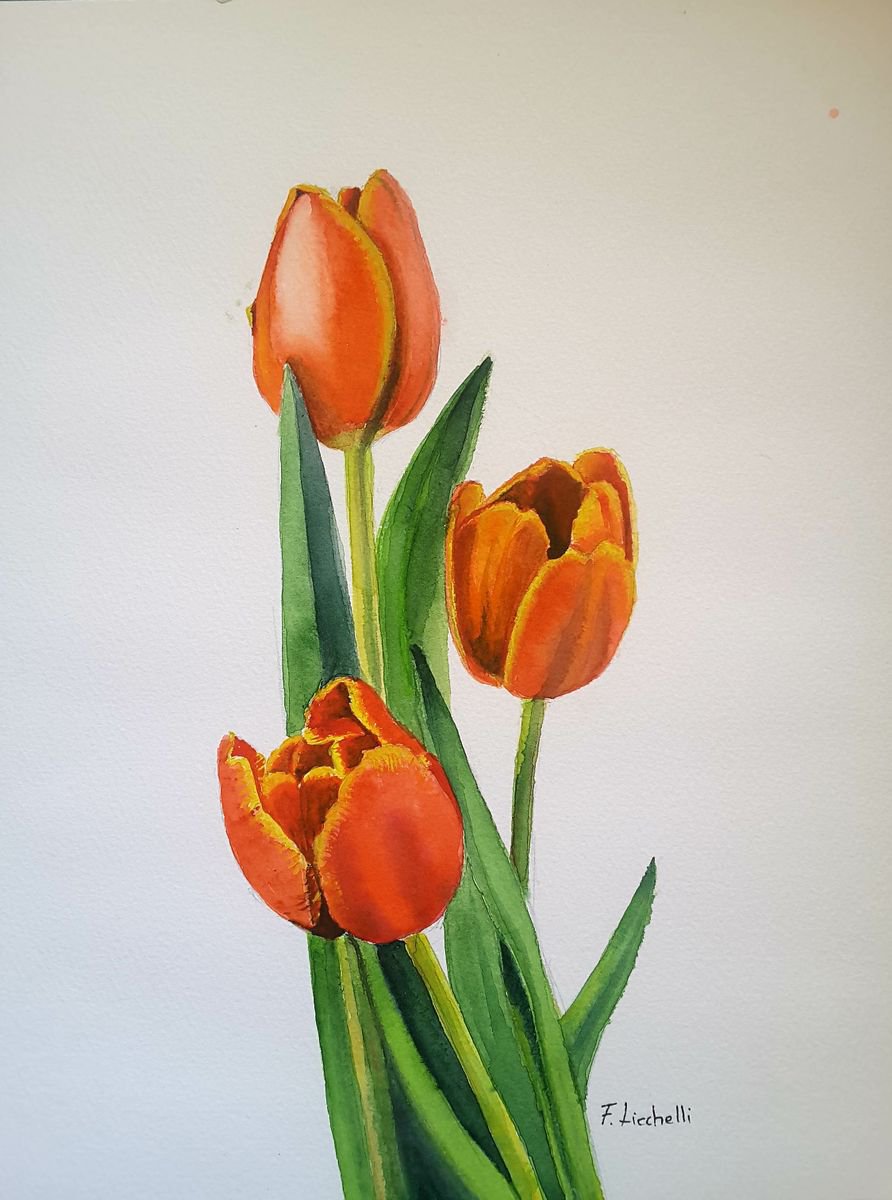 Red tulips by Francesca Licchelli