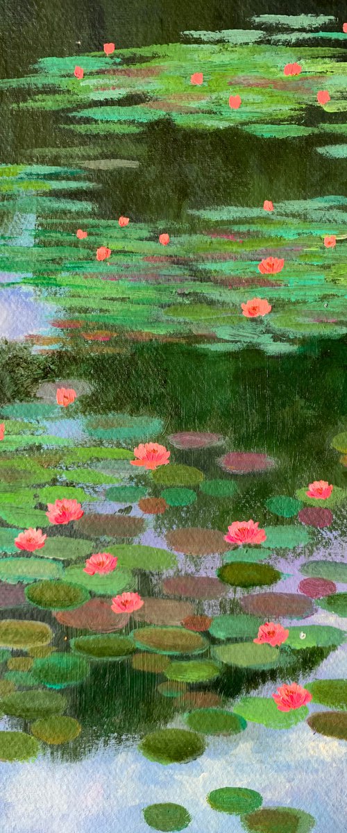 Monets water lilies! by Amita Dand