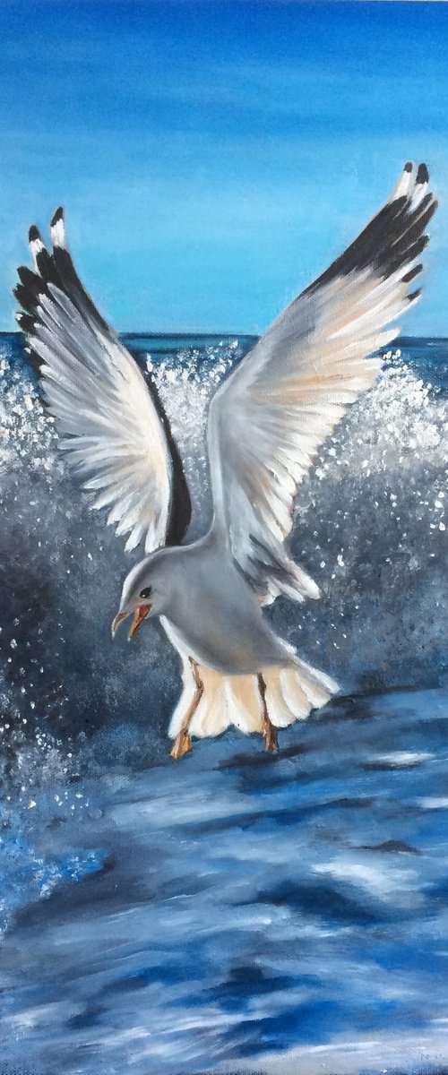 Seagull in  Sunrays by Ira Whittaker