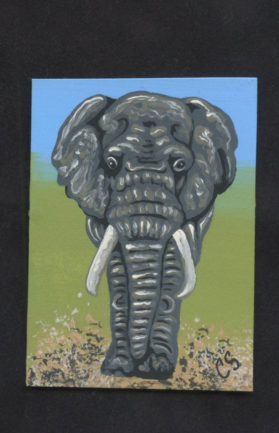 ACEO ATC Original Painting Elephant Wildlife Art-Carla Smale