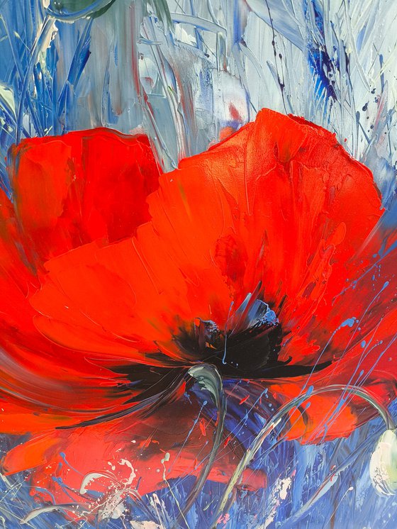 Wild Poppies Serenade