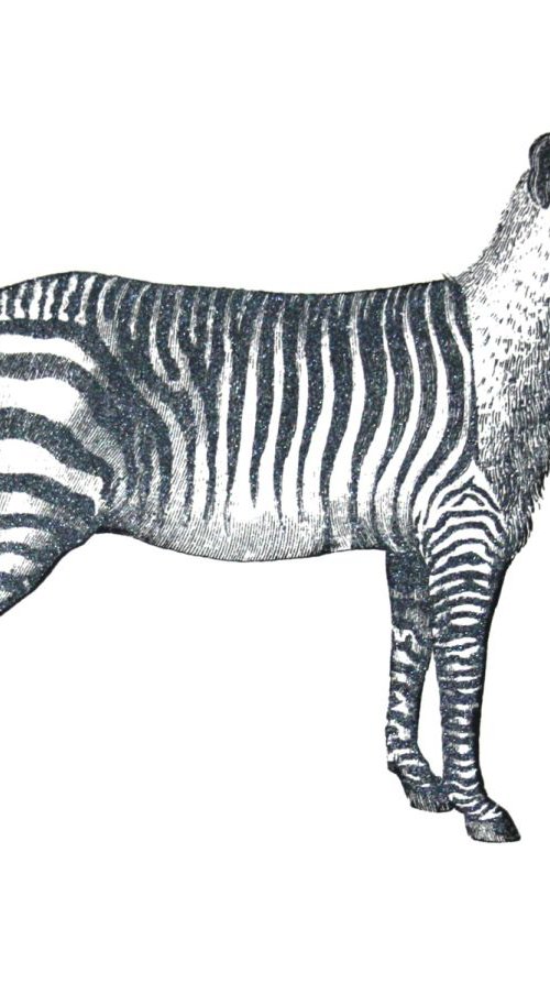 Zebradog by Penelope Kenny