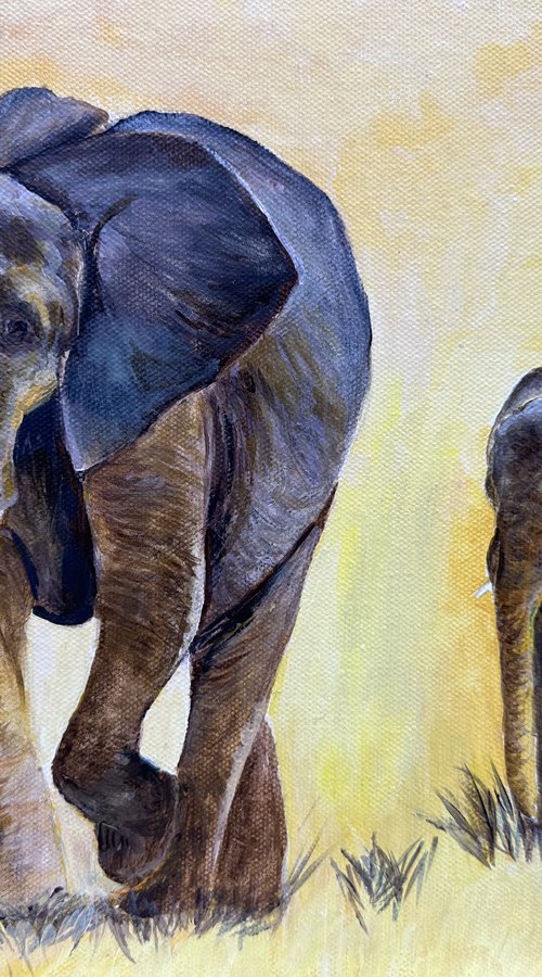 Elephants strolling by Maxine Taylor