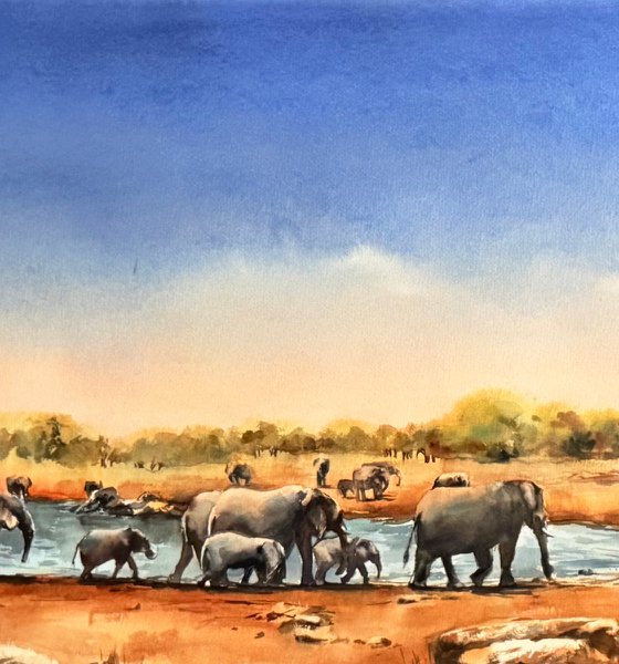 Elephants