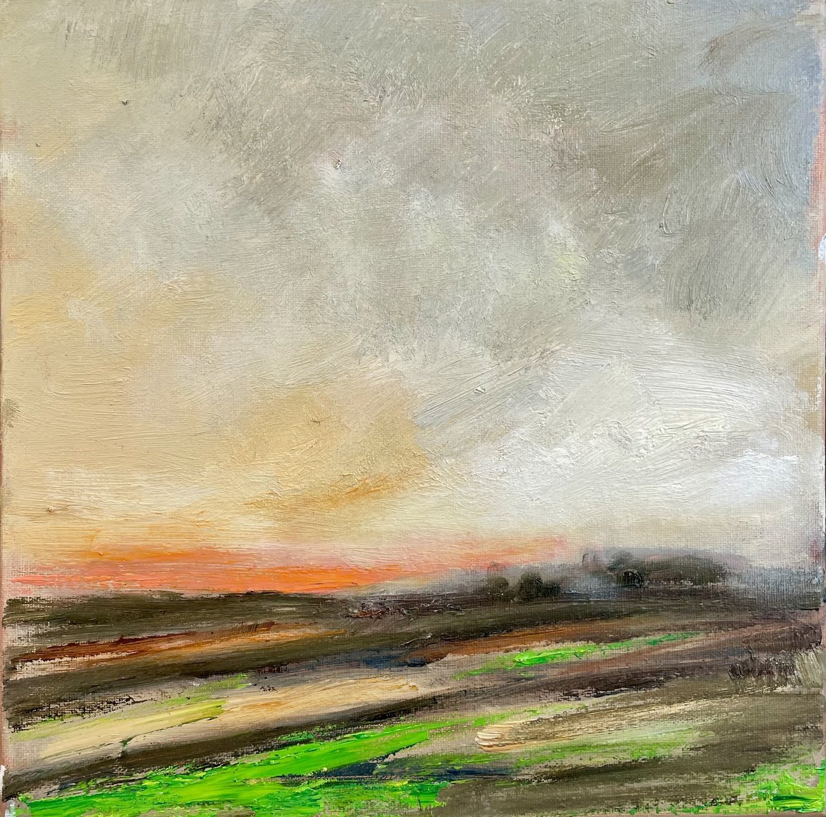 Golden Morning By Sherry Edmondson, 15 X 15, Artwork For Sale On Artfinder