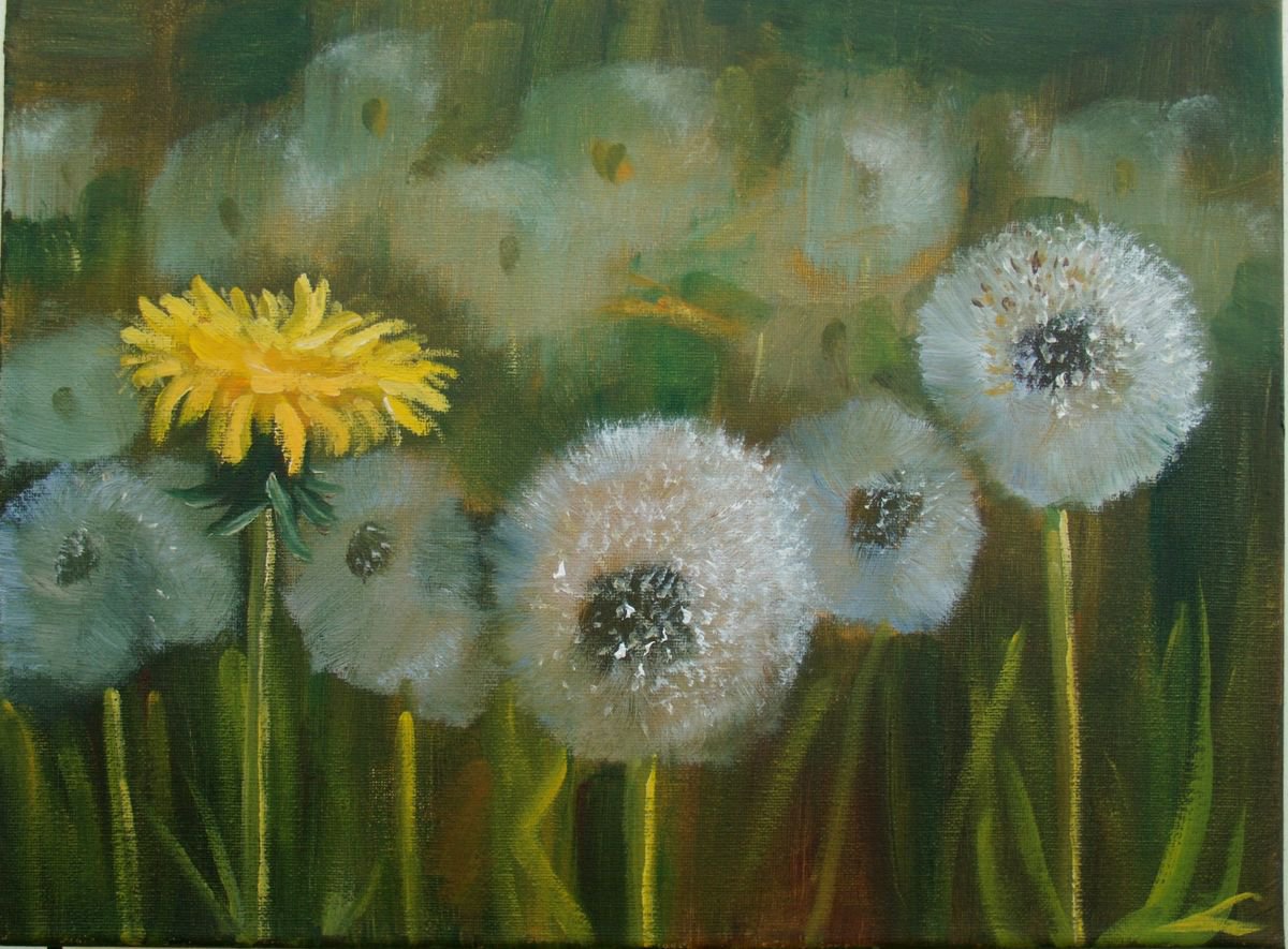 Impressionistic Botanical Oil Painting By Elena Sokolova, 16 X 12, Dandelions2, Original Artwork