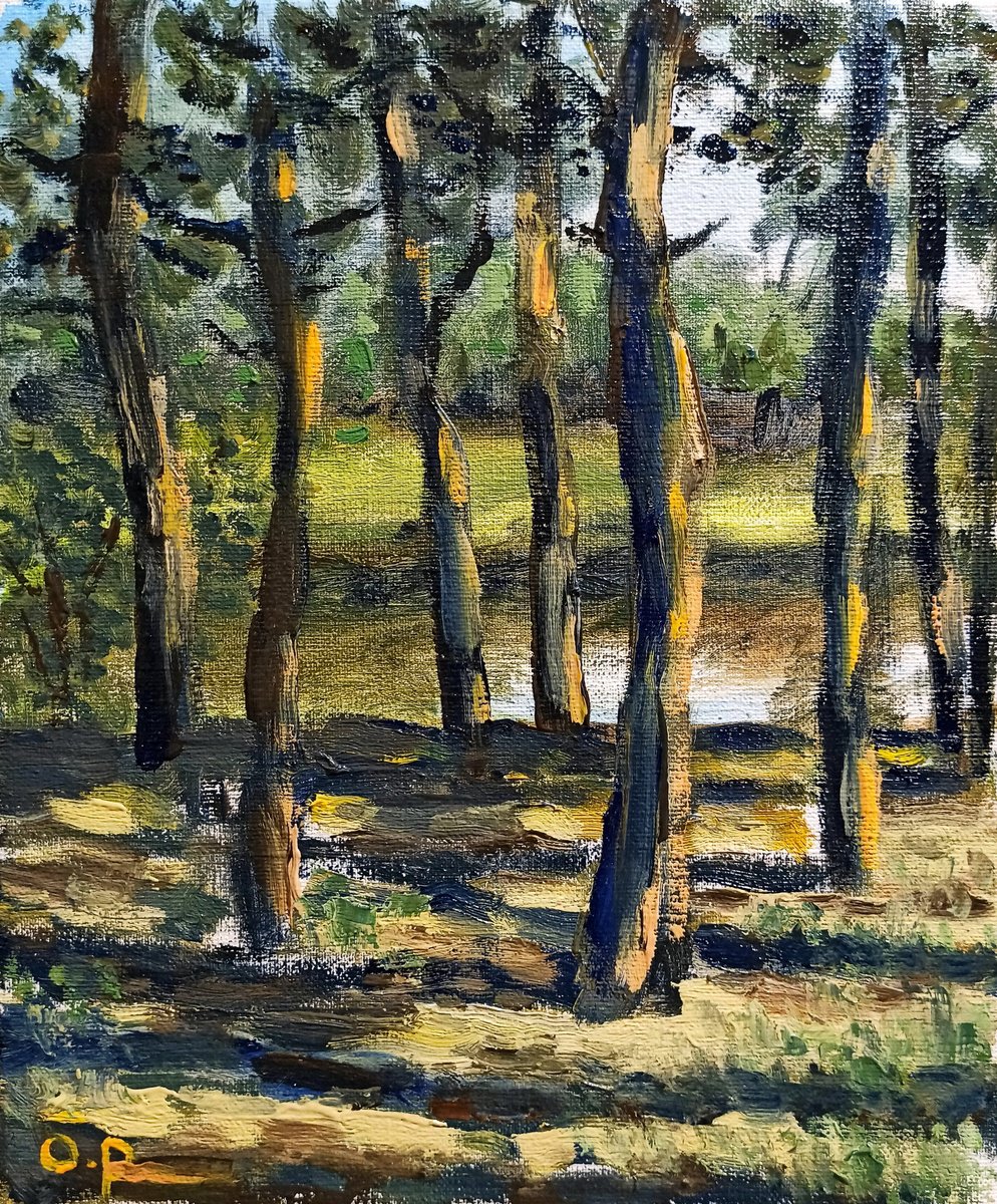 Impressionistic Landscape Oil Painting By Oleh Rak, 10 X 12", Pine Trees On The Coast, Original Artwork