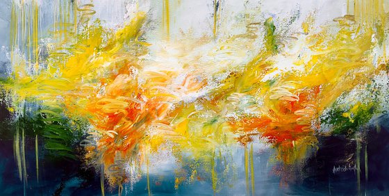 Flamboyant Bloom After Rain