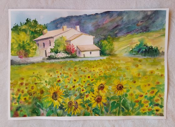 Sunflower field - Landscape - Watercolor