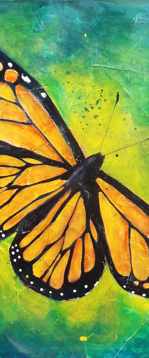 Monarch Butterfly by Kevin Blake