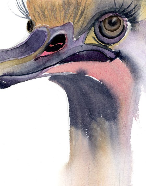 Ostrich - Original Watercolor Painting
